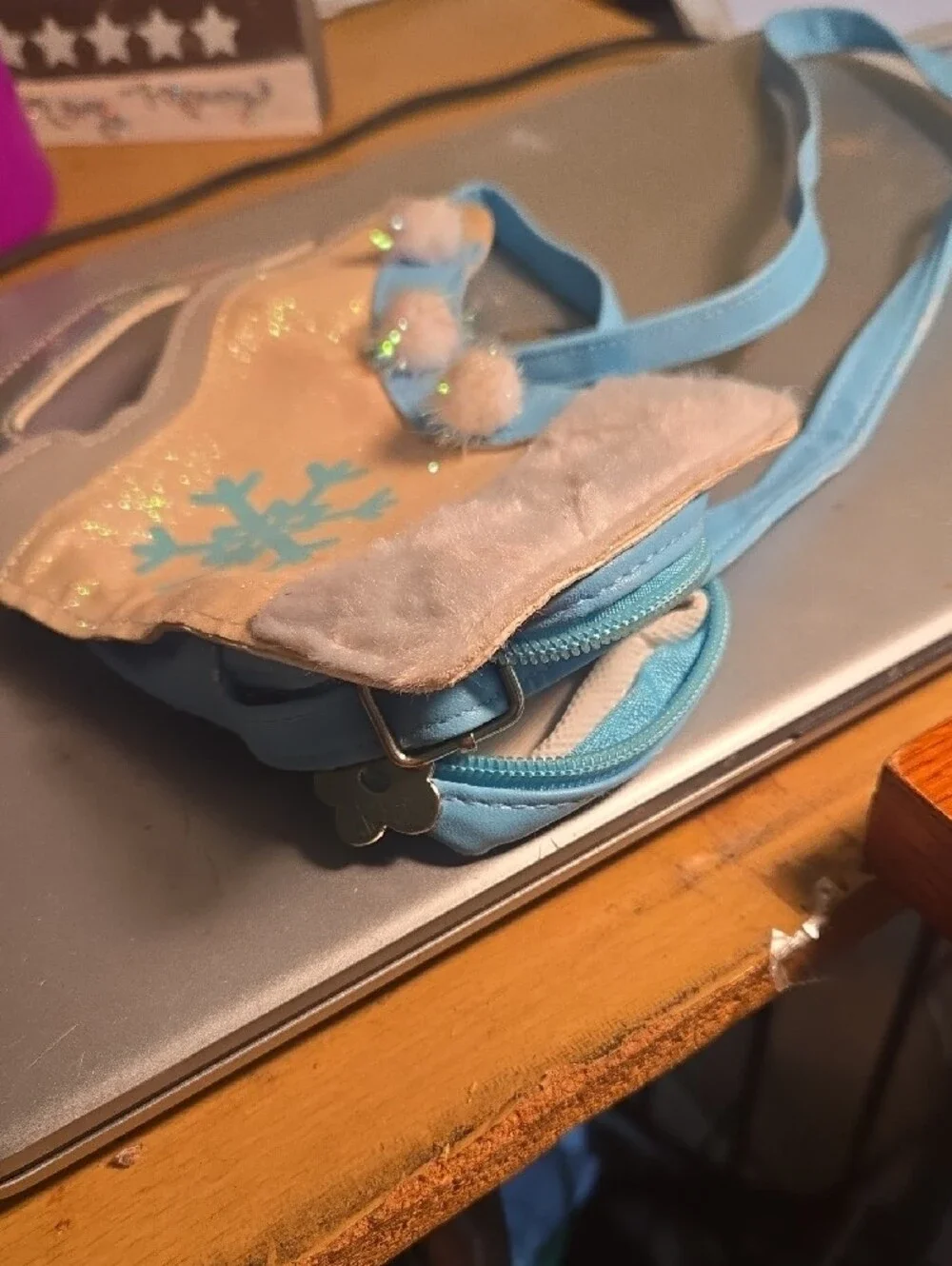 Skate Small Purse
